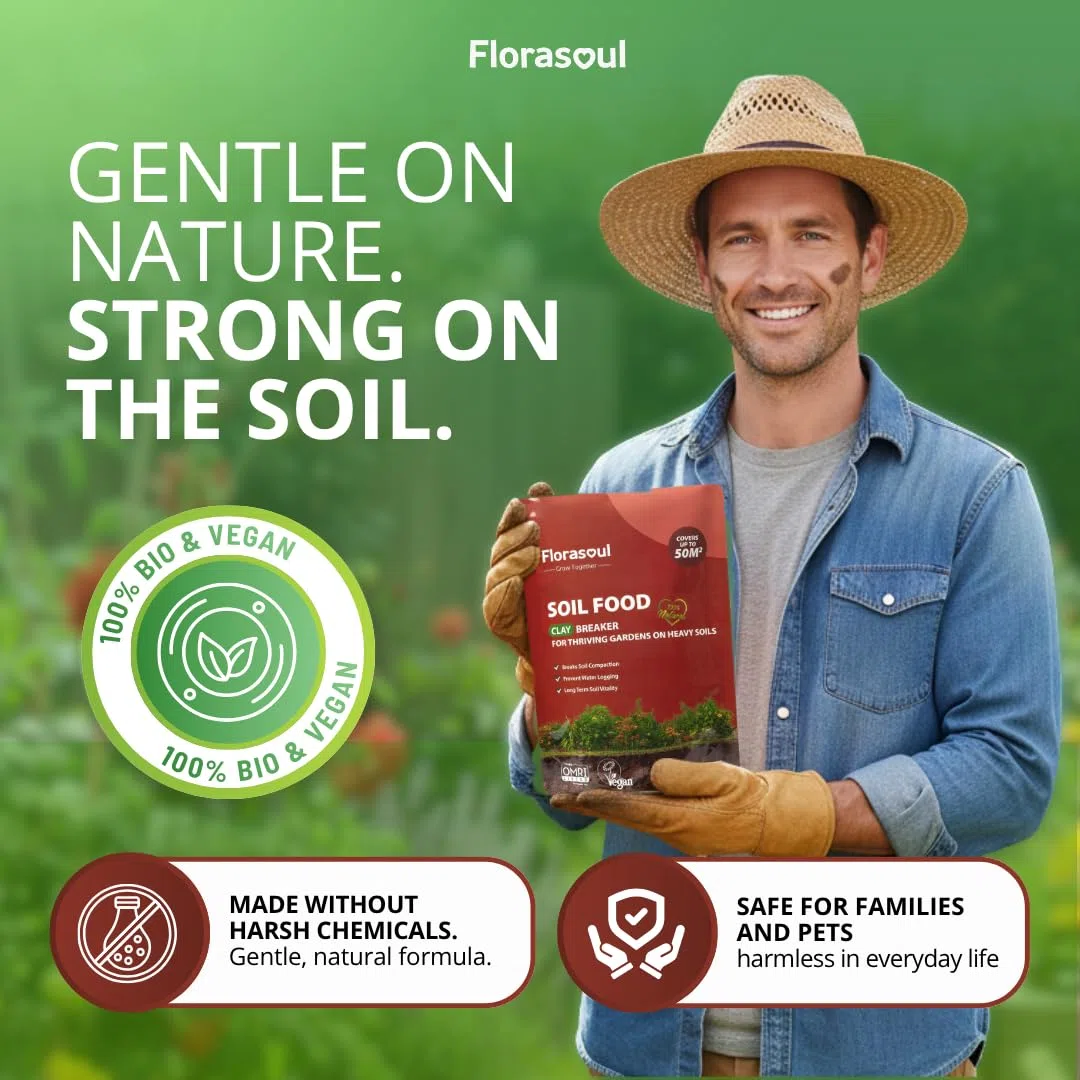 Ammendante BIO per Terreno Argilloso, Rende Soffice la Terra Dura e Compatta, Previene Ristagni d'Acqua, Migliora Drenaggio e Aerazione, Granulare per Prato, Orto e Giardino, 3kg per 50m²