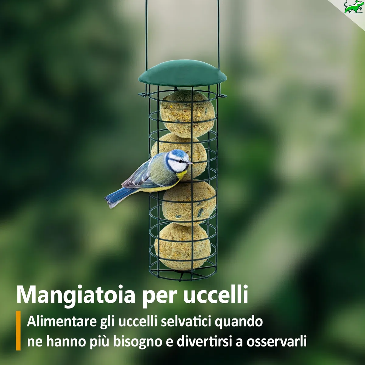 Mice&Co Mangiatoia per Uccelli da Esterno con Palle di Grasso – Casetta per Uccellini Giardino con Sfere di Lardo I Pack 1 Mangiatoia per Volatili e 12 Palline di Cibo