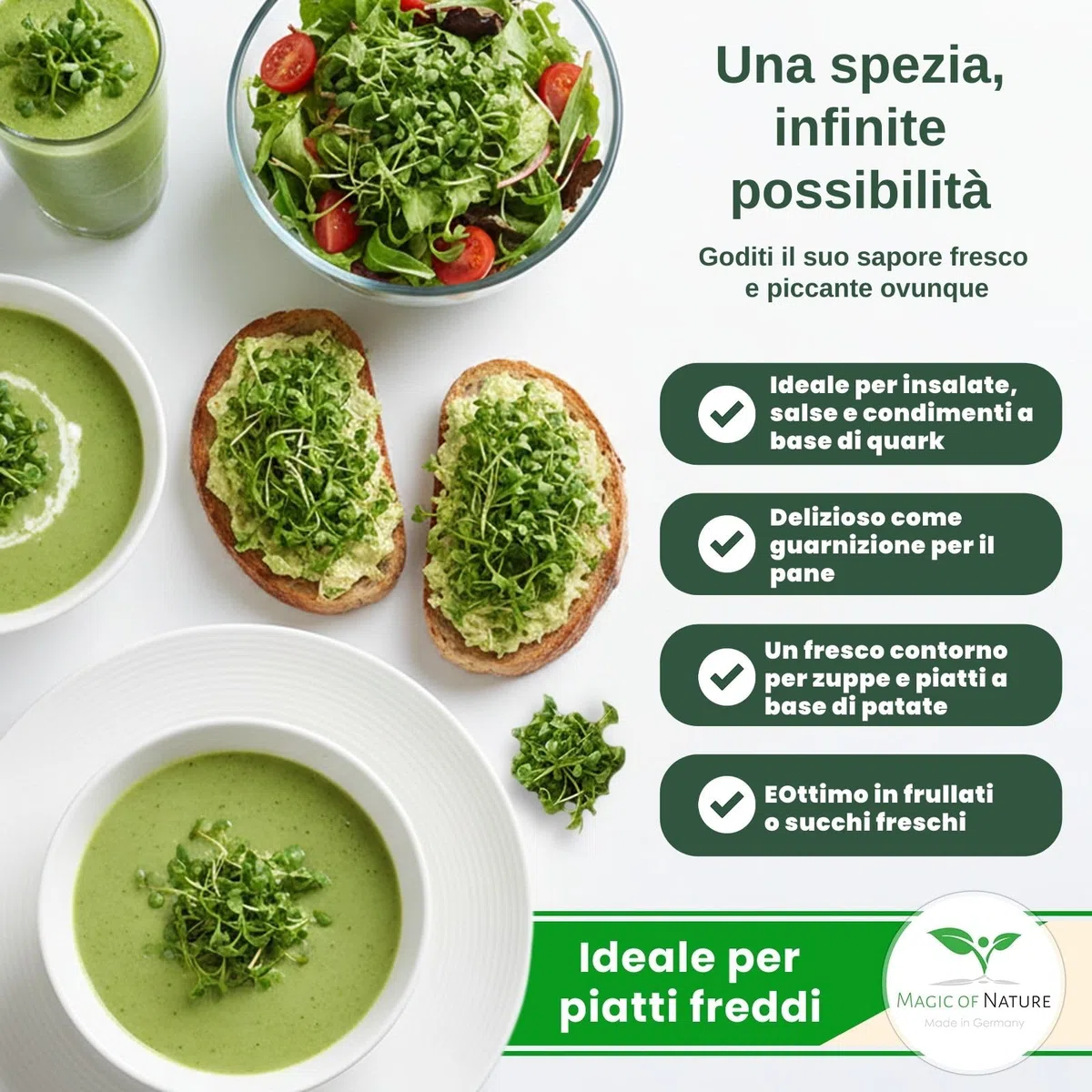 1kg Semi di Crescione – Sana Alimentazione Vegana – Sementi di Crescione Inglese Formato Scorta Freschi & Alta Germinazione – Lepidium sativum